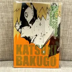 カナリア＊プロフ必読様 リクエスト 2点 まとめ商品