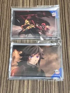 鬼滅の刃 冨岡義勇 炭治郎 全方位 缶バッジ セット