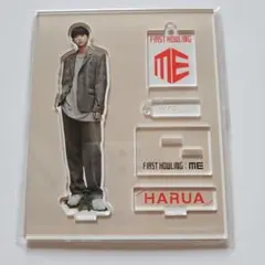 【新品未開封】&TEAM HARUA ハルア アクスタ