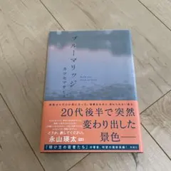 Item thumbnail for item 417d9bd1-ad6e-45d2-a283-ca53a8f71ad7