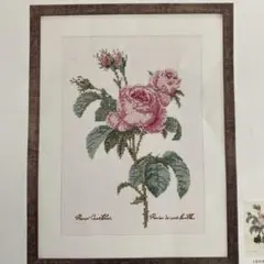 ホビーラホビーレクロスステッチ〈ロサ・ケンティフォリア〉完成品 ホビーラホビーレクロスステッチ〈ロサ・ケンティフォリア〉図案