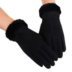 手袋 スウェード グローブ 秋冬 防寒 お洒落 スマホ 裏起毛 レディース