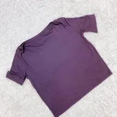 オールドイングランド 半袖 Tシャツ トップス ブラウン 36 S タグ付きのサムネイル
