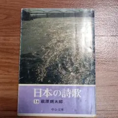 日本の詩歌 14 萩原朔太郎 中公文庫