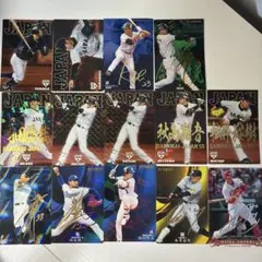 プロ野球チップスカード