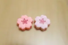 Switch2 専用 スティックカバー