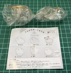 うちの子のけだまだま 犬のけだまだま プードル 三角たれみみ