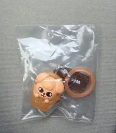 SKZOO めじるしアクセサリー ソロキャンプ パピム スンミンのサムネイル