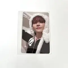 &TEAM andTEAM 雪明かり Yukiakari アニマル ニコラス