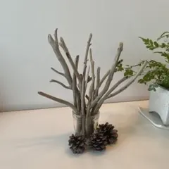 インテリア流木12本16.7〜29.6㌢