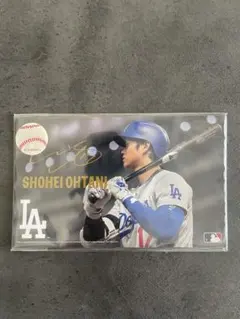 大谷翔平 大型ポストカードセット 5枚入り