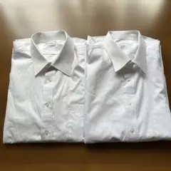 Item thumbnail for item 3e9067d9-a0f5-4d65-be5e-e61d0f46986c