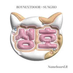 ⭐︎ぷっくりネームボード⭐︎専用ページ