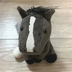 イクイノックス　アイドルホース　非売品　JRAカード入会特典