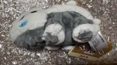ポケモン　Pokemon fit コドラ　ぬいぐるみ　ポケモンセンター限定