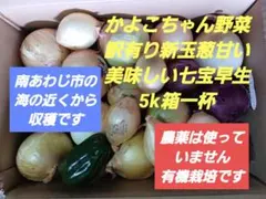 かよこちゃん野菜　安心して食べれる訳有り新玉ねぎ甘くて美味しい七宝早生5k箱一杯のサムネイル