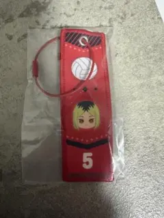 ハイキュー‼︎ 孤爪研磨