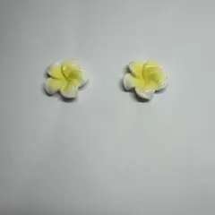 ☺︎ハンドメイド˚✧₊⁎❝᷀ົཽ≀ˍ̮ ❝᷀ົཽ⁎プルメリア✳︎花の形のスタッドピアス 白と黄色