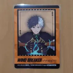 ウィンブレ カラ鉄 カード 桜遥