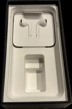 【新品未使用】Apple純正イヤホン 変換アダプタ 急速充電ケーブル 箱付