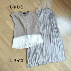 Item thumbnail for item d0f40a99-fb3d-45aa-827e-a4bcdc5e0e55