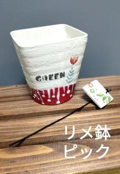 2025年最新】プラ鉢 リメイクの人気アイテム - メルカリ