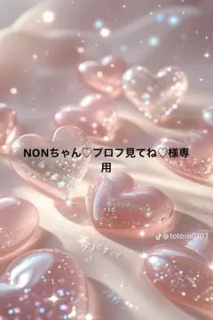 NONちゃん♡プロフ見てね♡様専用