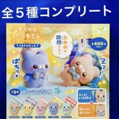すくっとたっちさん すやすや　くまさんたっち 全5種　コンプ　ガチャ　すやすや
