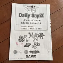 2026年最新】sapix 6年 国語 デイリーチェックの人気アイテム - メルカリ
