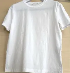 美品 ZARA ベーシックコットンtシャツ S