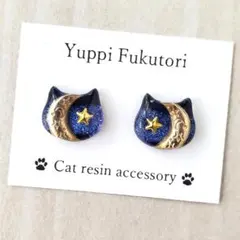 【yf.1381】夜空　猫ピアス　　　月　星　綺麗　大人可愛い　ぷっくり