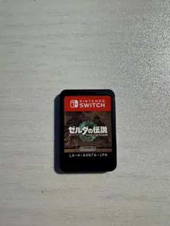 ゼルダの伝説 ティアーズ オブ ザ キングダム