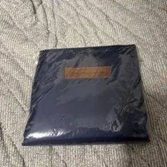 Item thumbnail for item 1bee5aa5-8bc2-4422-ab80-576be4683e64