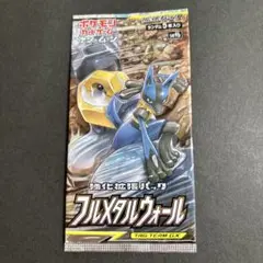 ポケモンカードゲーム フルメタルウォール (絶版パック)