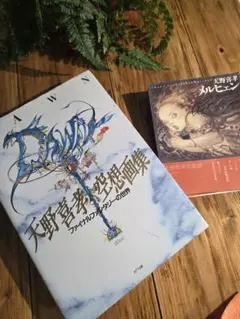 豪華2冊セット　天野喜孝 画集『メルヒェン』『空想画集 ファイナルファンタジー』 豪華2冊セット 天野喜孝 画集『メルヒェン』『空想画集 ファイナル