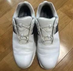 Item thumbnail for item 6f1f05cb-cece-4843-b769-2dadd99c4ea6