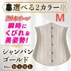 サイズM シャンパン 24本強化スチールボーン アンダーバスト