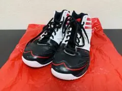 Item thumbnail for item 29a0a765-9d7b-4f2a-81a8-b19d221b1a8f