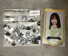 Item thumbnail for item 0ed43f22-010f-4504-9e6e-c1de8f5df5c9