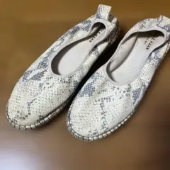 Item thumbnail for item 69332627-c8e9-4204-918c-a894c5b82bd2