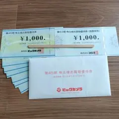 ビックカメラ コジマ 株主優待 計10000円分　株式優待