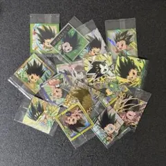 HUNTER × HUNTER にふぉるめーしょん ゴン