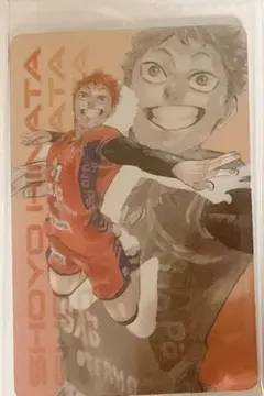 日向翔陽　キラピカード　ハイキュー