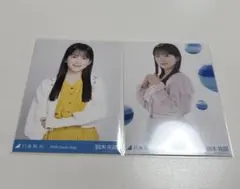 Item thumbnail for item 051d504a-a67a-435d-9022-dc1904670beb