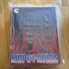 Item thumbnail for item fe189f78-763c-4dab-b1f0-6fd7c3f0ba6b