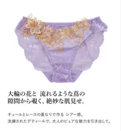 Mon cher pigeon* ティアム レギュラーショーツ 刺繍レースのサムネイル