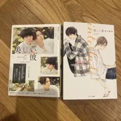 2025年最新】美しい彼 小説セットの人気アイテム - メルカリ