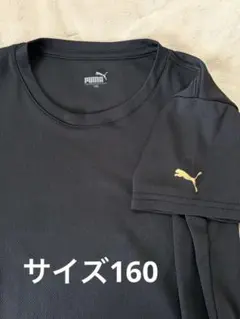 PUMA プーマ Tシャツ 160 ブラック スポーツ ドライ素材