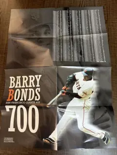 モルック様 リクエスト 2点 まとめ商品