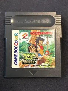 サバイバルキッズ　孤島の冒険者　ゲームボーイ　カラー　ソフトのみ